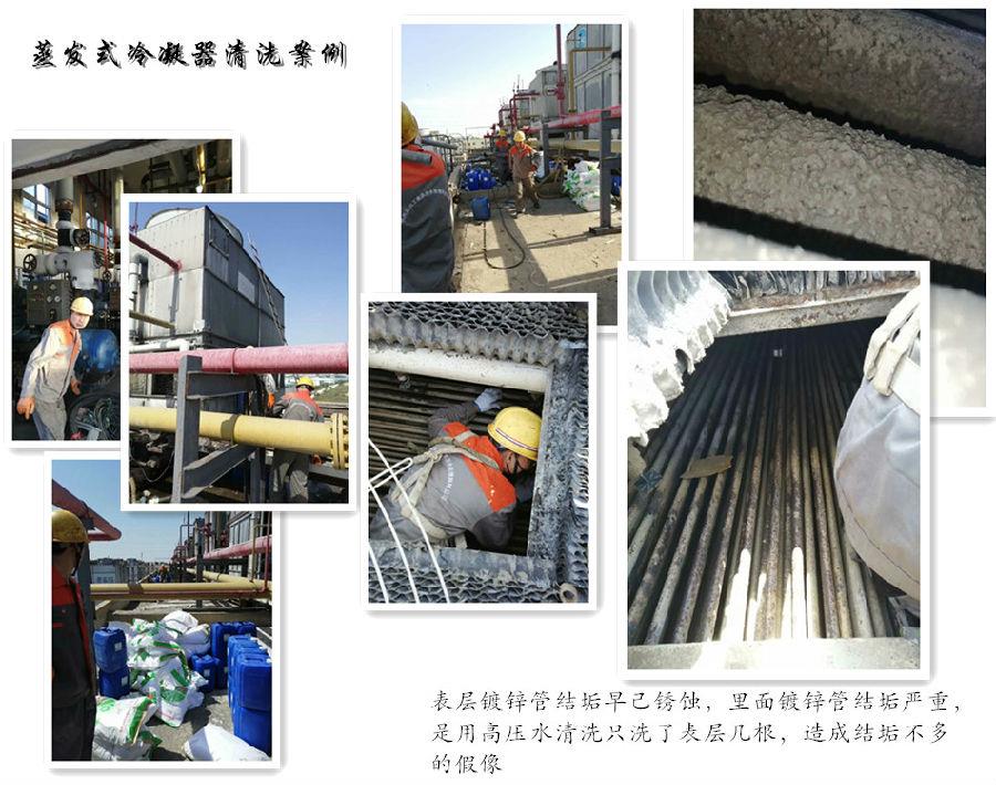 蒸发冷荔枝视频资源在线观看案例.jpg
